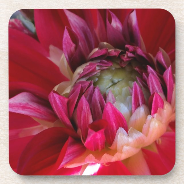 dunkelrote Blüte Untersetzer (Vorderseite)