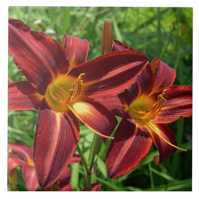 Dunkelrote Lilien-Keramikfliese Fliese (Vorderseite)