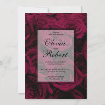 Dunkelrote magenta burgundy-Rose