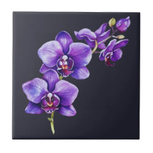 Dunkelschiefer grau, Lila Orchid Keramik Tile