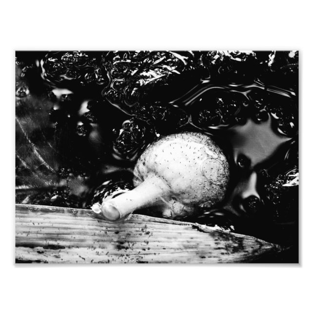 Dunkelschützer Fotodruck (Vorne)