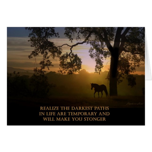 Dunkelste Pfade machen Sie zu einer besseren Karte (Vorderseite (Horizontal))