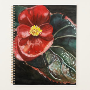 Dunkle Begonia in Wasserfarbe Planer