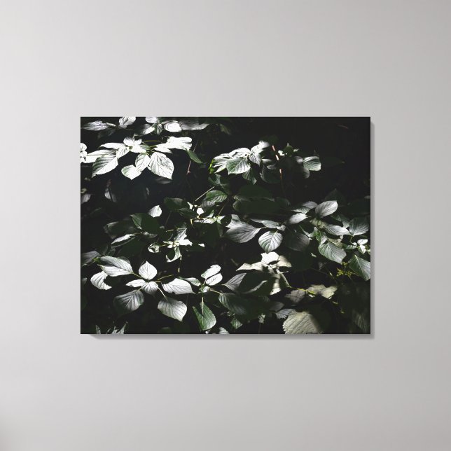 Dunkle Blätter Leinwanddruck (Vorderseite)