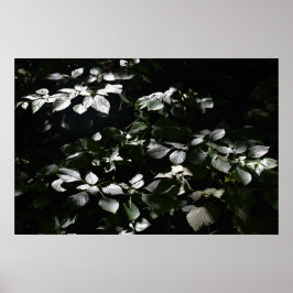 Dunkle Blätter Poster