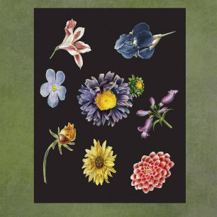 Dunkle botanische Blumen auf Schwarz Poster