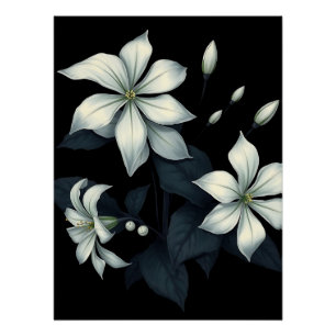 Dunkle botanische Nacht blühende Jasmine Poster