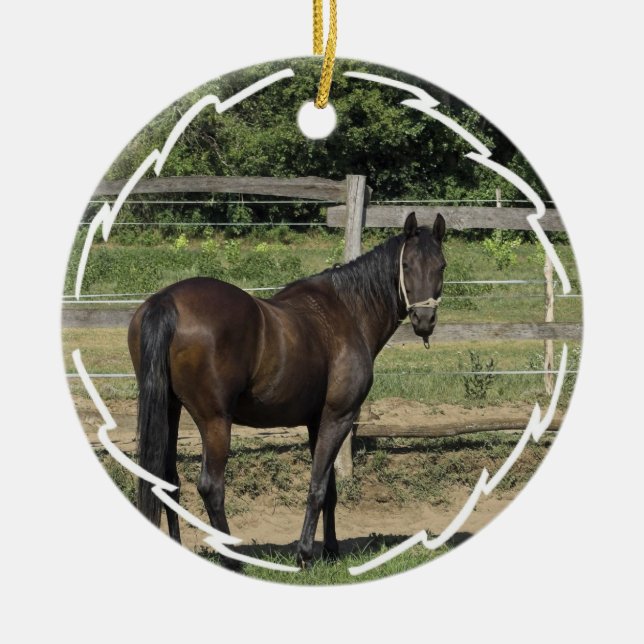 Dunkle Buchtthoroughbred-Pferdeverzierung Keramik Ornament (Vorne)