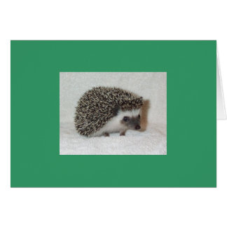 Dunkle Igel-Karte