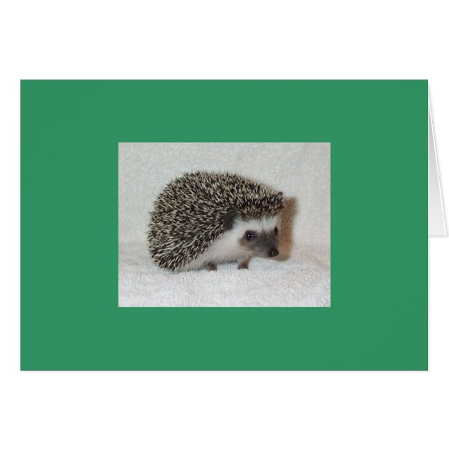 Dunkle Igel-Karte (Vorderseite (Horizontal))