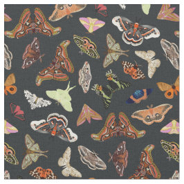 Dunkle Kernmotten Natur Stoff