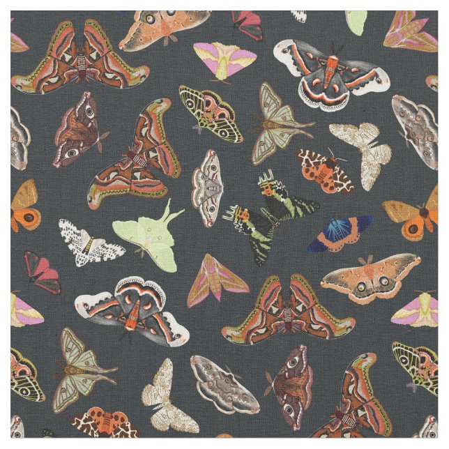 Dunkle Kernmotten Natur Stoff (Nahaufnahme)