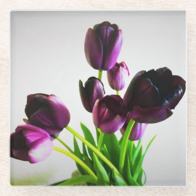 Dunkle Lila Tulips Glasuntersetzer (Vorderseite)