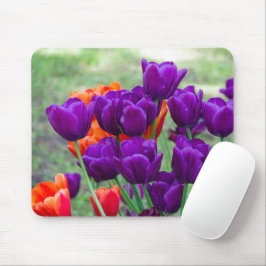 Dunkle lila Tulpen an einem sonnigen Tag im Garten Mousepad