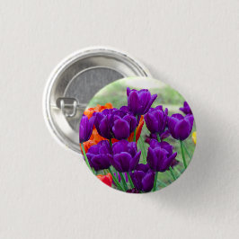 Dunkle lila Tulpen-Puppe Button