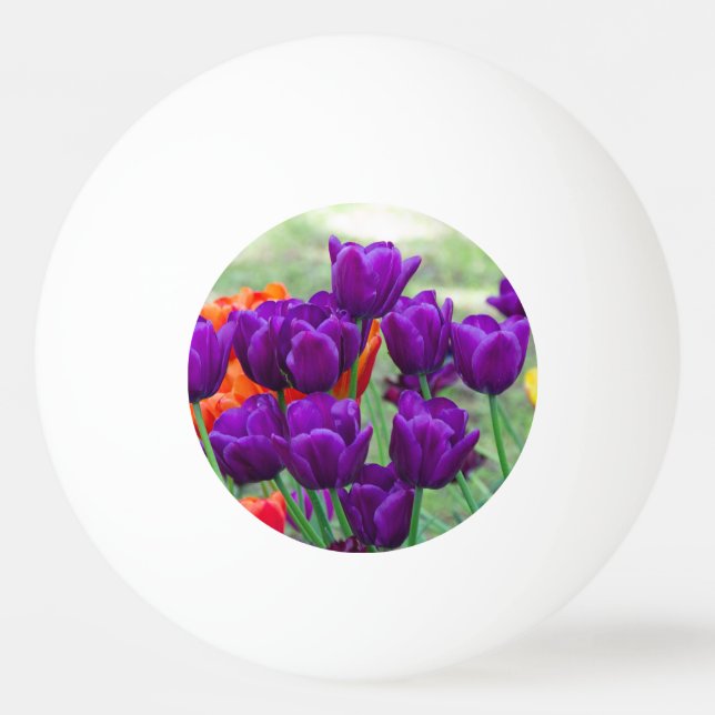 Dunkle lila Tulpen-Puppe Tischtennisball (Vorderseite)