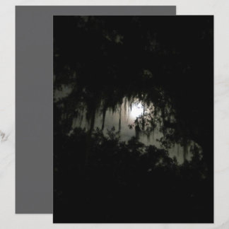 Dunkle Nacht-Bücherei-Papier