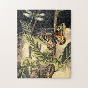 Dunkle Natur-Szene durch Visions-Studio