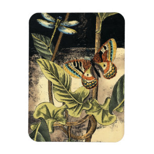 Dunkle Natur-Szene durch Visions-Studio Magnet