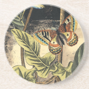 Dunkle Natur-Szene durch Visions-Studio Untersetzer