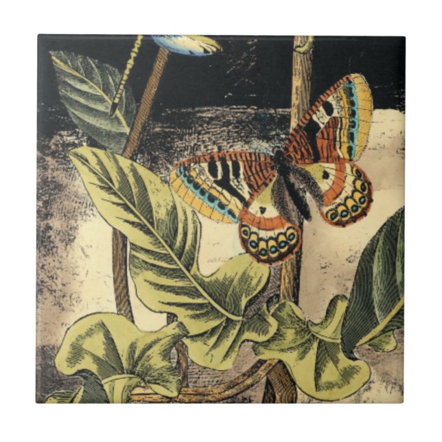 Dunkle Naturlandschaft durch Vision Studio Fliese (Vorderseite)