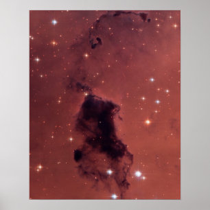 Dunkle Rose Schattenstaubwolken Poster