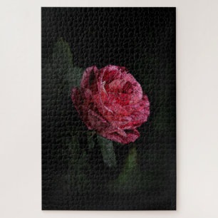Dunkle Rote Rose