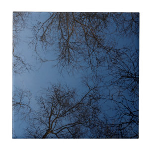 Dunkle Seidenbäume Fliese