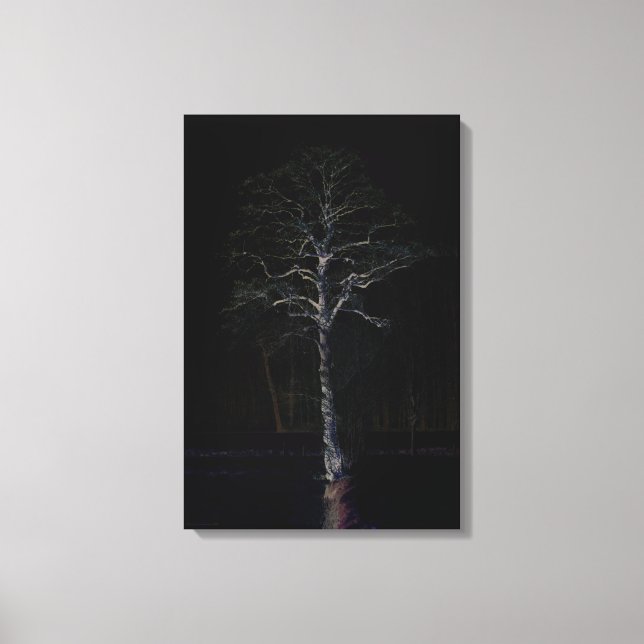 Dunkle Seite 3 16x24 (40x60cm) waccna Leinwanddruck (Vorderseite)