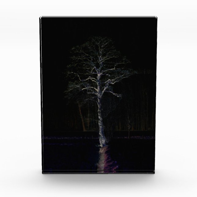 Dunkle Seite 3 pbcnm Fotoblock (Vorderseite)