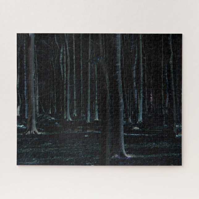 Dunkle Seite 6 16x20 520pc jpcnm (Horizontal)