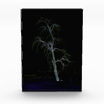 Dunkle Seite 8 pbcnm