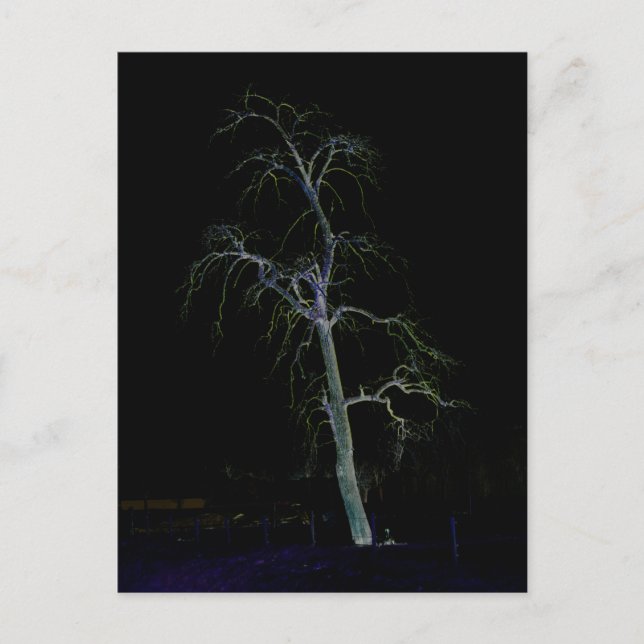 Dunkle Seite 8 pccnm Postkarte (Vorderseite)