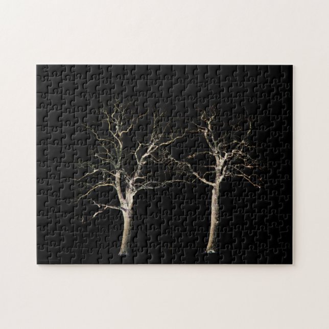 Dunkle Seite 9 11x14 252pc jpcnm (Horizontal)