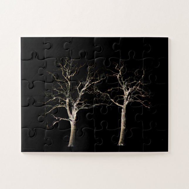 Dunkle Seite 9 11x14 30pc jpcnm (Horizontal)
