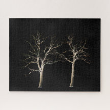 Dunkle Seite 9 16x20 520pc jpcnm