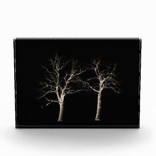 Dunkle Seite 9 pbcnm Fotoblock