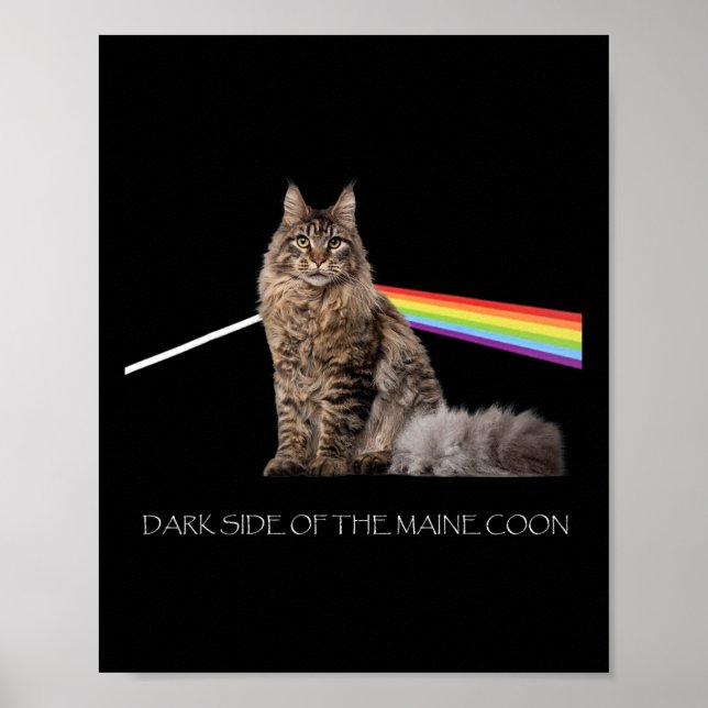 Dunkle Seite der Maine Coon Cat Lover Poster (Vorne)