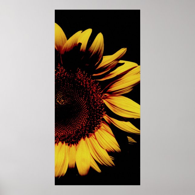 Dunkle Sonne Poster (Vorne)