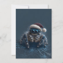 Dunkle Springspinnen-Weihnachtskarten
