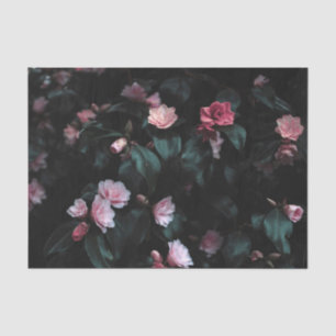 Dunkle und helle rosa Rosen unter dunklem Grün Seidenpapier