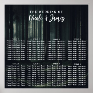 Dunkle Waldstimmung mit Bäumen in der Dämmerung al Poster