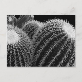 Dunkle Wüste. Postkarte