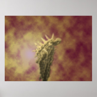 dunkler Engel Poster