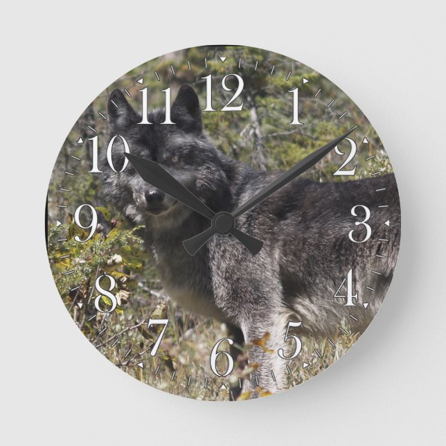 Dunkler grauer Wolf und Waldweide Foto Uhr (Vorderseite)