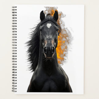 Dunkler Hengst Inferno Planer