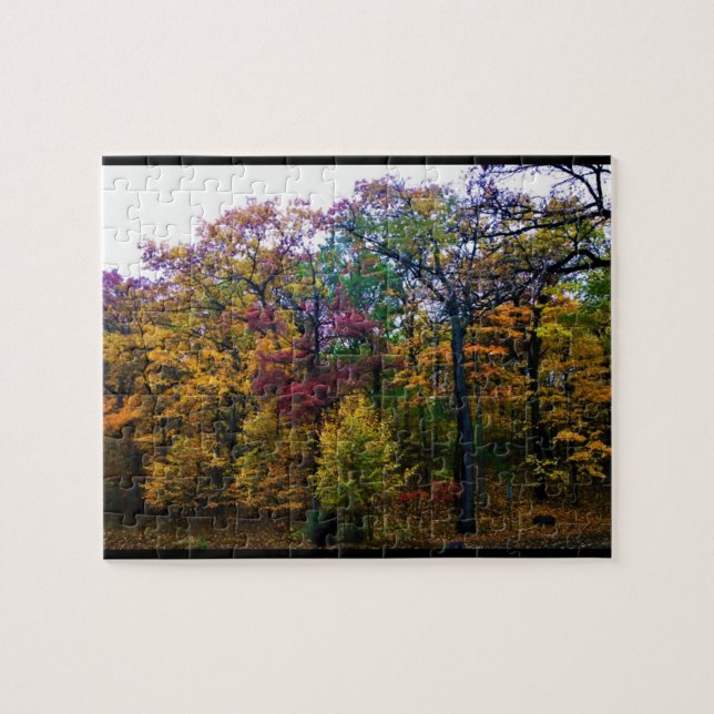 Dunkler Herbstwald (Horizontal)