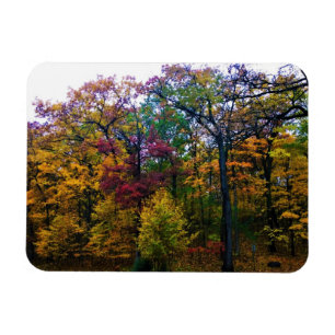 Dunkler Herbstwald Magnet