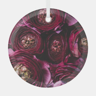 Dunkler Lila Ranunculus, blühend Nah-up. Ornament Aus Glas