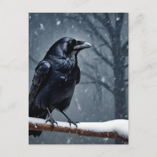 Dunkler Rabe Schwarzer Vogel Postkarte
